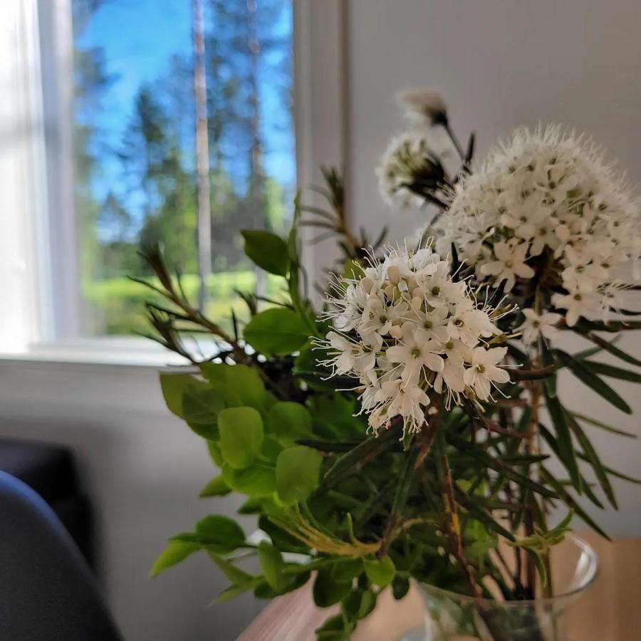 Siikavilla, Siikajoki Exteriör bild